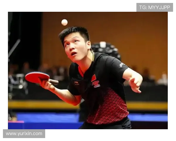 从零起步掌握乒乓球技巧与状态提升的全面指南