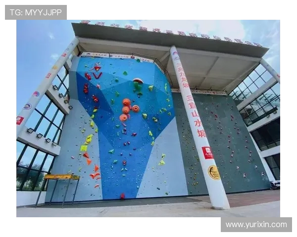 杭州攀岩队区域防守新策略探索与实践分析