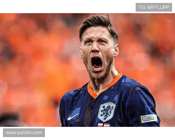 荷兰与法国激战在即投注攻略与分析助你赢得胜利 荷兰与法国激战在即投注攻略与分析助你赢得胜利