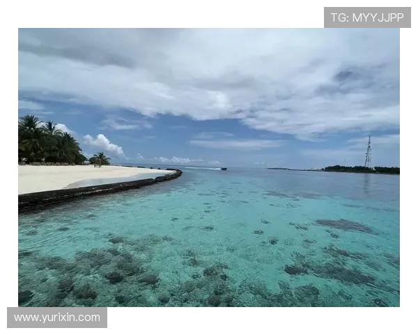 马尔代夫与关岛精彩对决视频回顾全场亮点与精彩瞬间分享