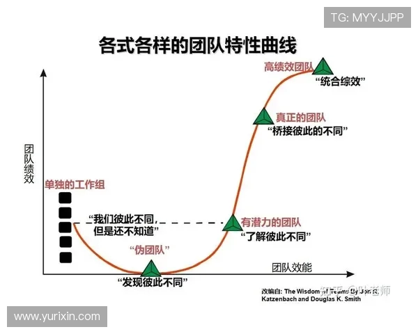 西安排球队团队协作表现的数据分析与提升策略探讨 西安排球队团队协作表现的数据分析与提升策略探讨