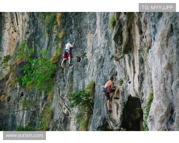 广州攀岩队的个人能力揭秘与攀岩技巧的深度探索