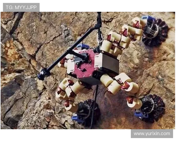 攀岩人生的探索与坚持：陈伟的深度对话与心路历程