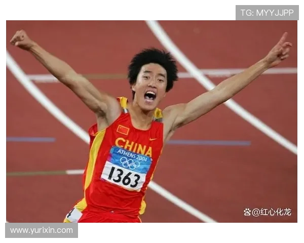 杭州排球队耐力革命引发热议助力竞技水平提升