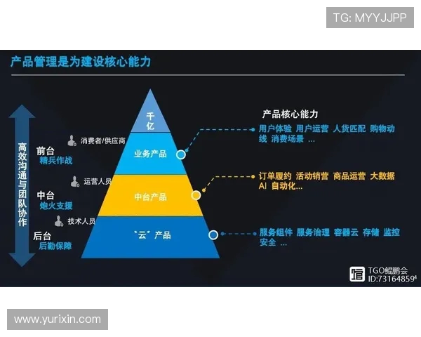 杭州篮球队运营体系中的战术创新与团队协作研究