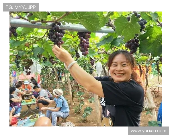 极限运动女神杨娜的挑战与坚持：一段不平凡的旅程回顾