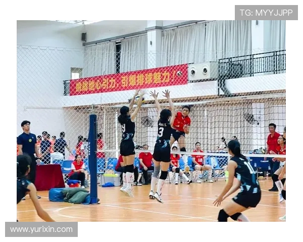 深圳排球队在全国排球耐力排行榜中荣登第九名展现出卓越实力与拼搏精神