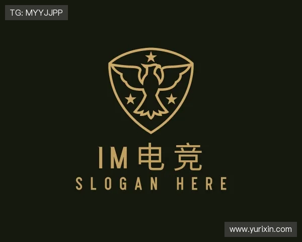 介绍IM电竞